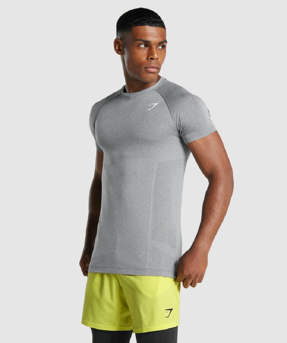 Gymshark Vital Light Seamless Muške T Shirts Sive | HR 2413PJJ